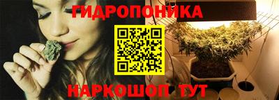 бошки Шебекино