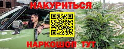 молекула духа Шелехов