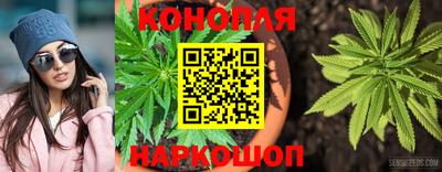 бошки Шебекино