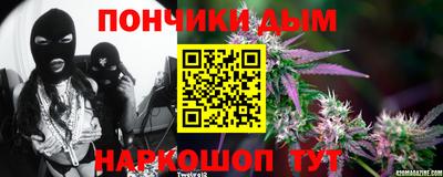молекула духа Шелехов