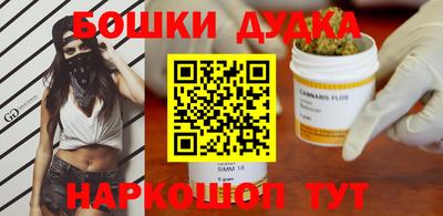 молекула духа Шелехов